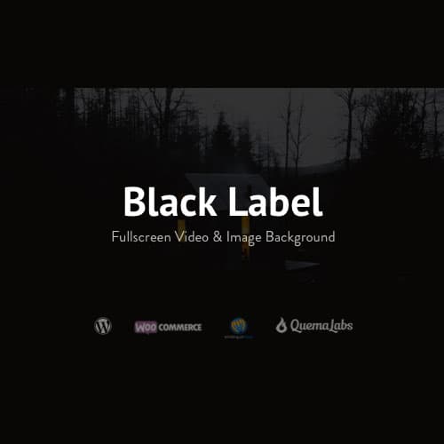 Black Label - Fullscreen Video & Image Background Black Label - Fullscreen Video & Image Background