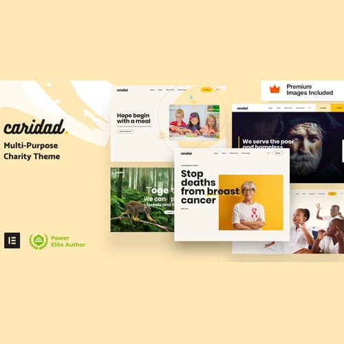 Caridad - Charity ธีม WordPress