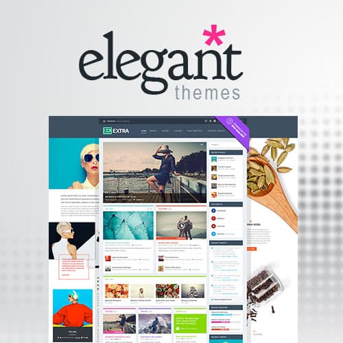 Elegant Themes Extra Tema WordPress