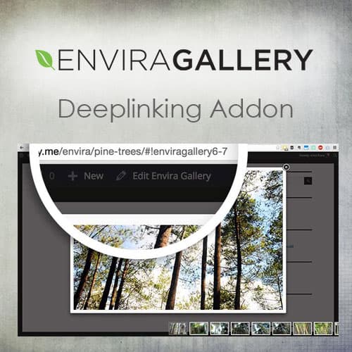 Envira 画廊 - Deeplinking 附加组件 Envira 画廊 - Deeplinking 附加组件