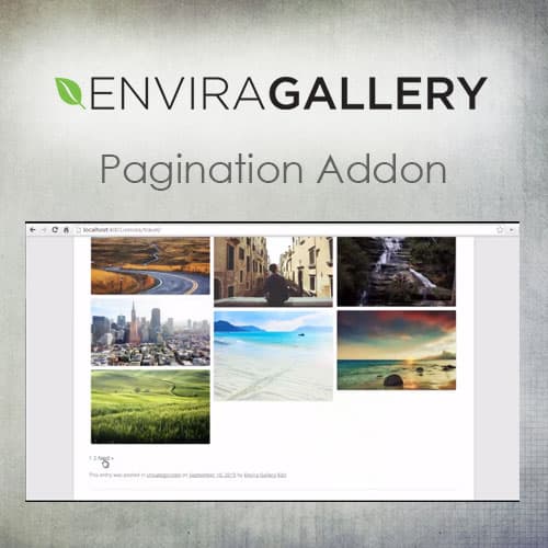 Envira 画廊 - Pagination 附加组件