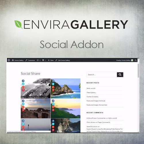 Envira Galerij - Social Addon