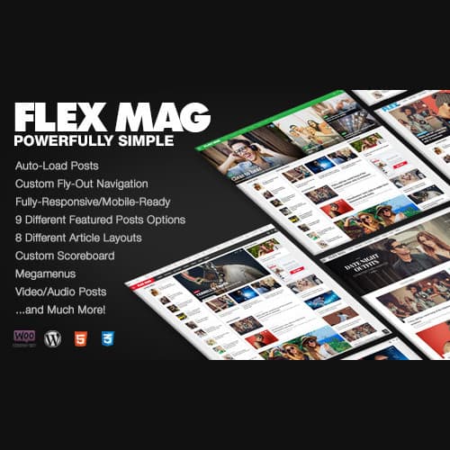 Flex Mag - Responsif WordPress News Theme