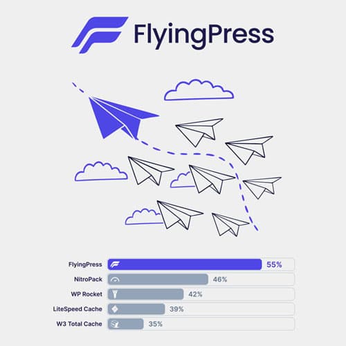 FlyingPress