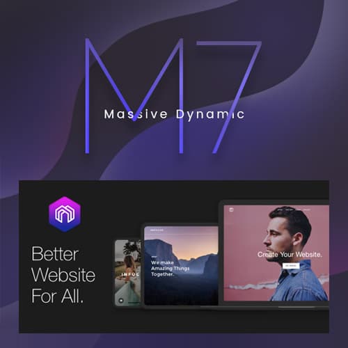 Massive Dynamic - WordPress Website构建器