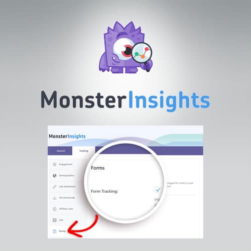 MonsterInsights - แบบฟอร์มs Tracking Addon