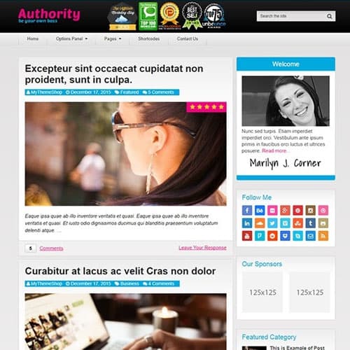MyThemeShop Authority Тема WordPress