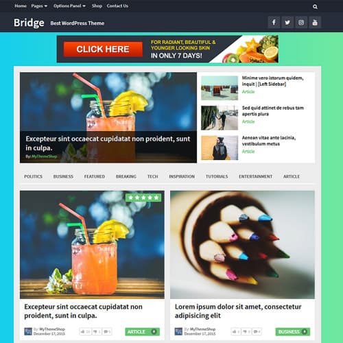 MyThemeShop Bridge Тема WordPress