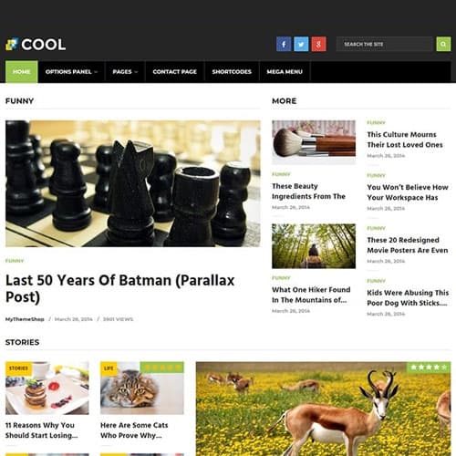 MyThemeShop Cool Theme WordPress