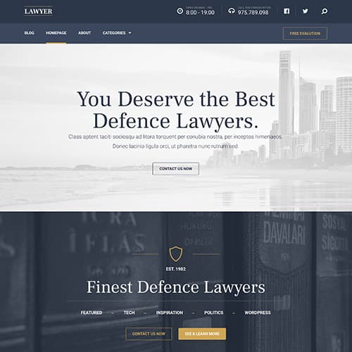 MyThemeShop Lawyer WordPress主题