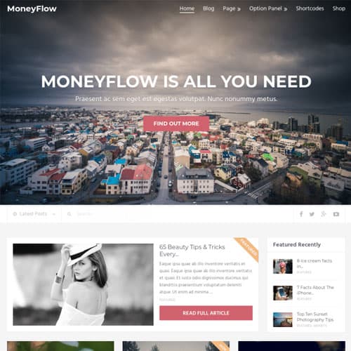 MyThemeShop MoneyFlow Theme WordPress