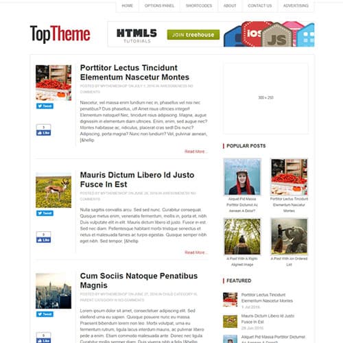 MyThemeShop Top WordPress Theme MyThemeShop Top WordPress Theme