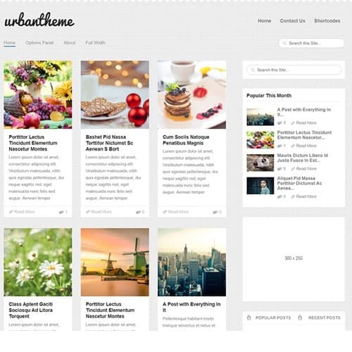 MyThemeShop Urban Tema WordPress
