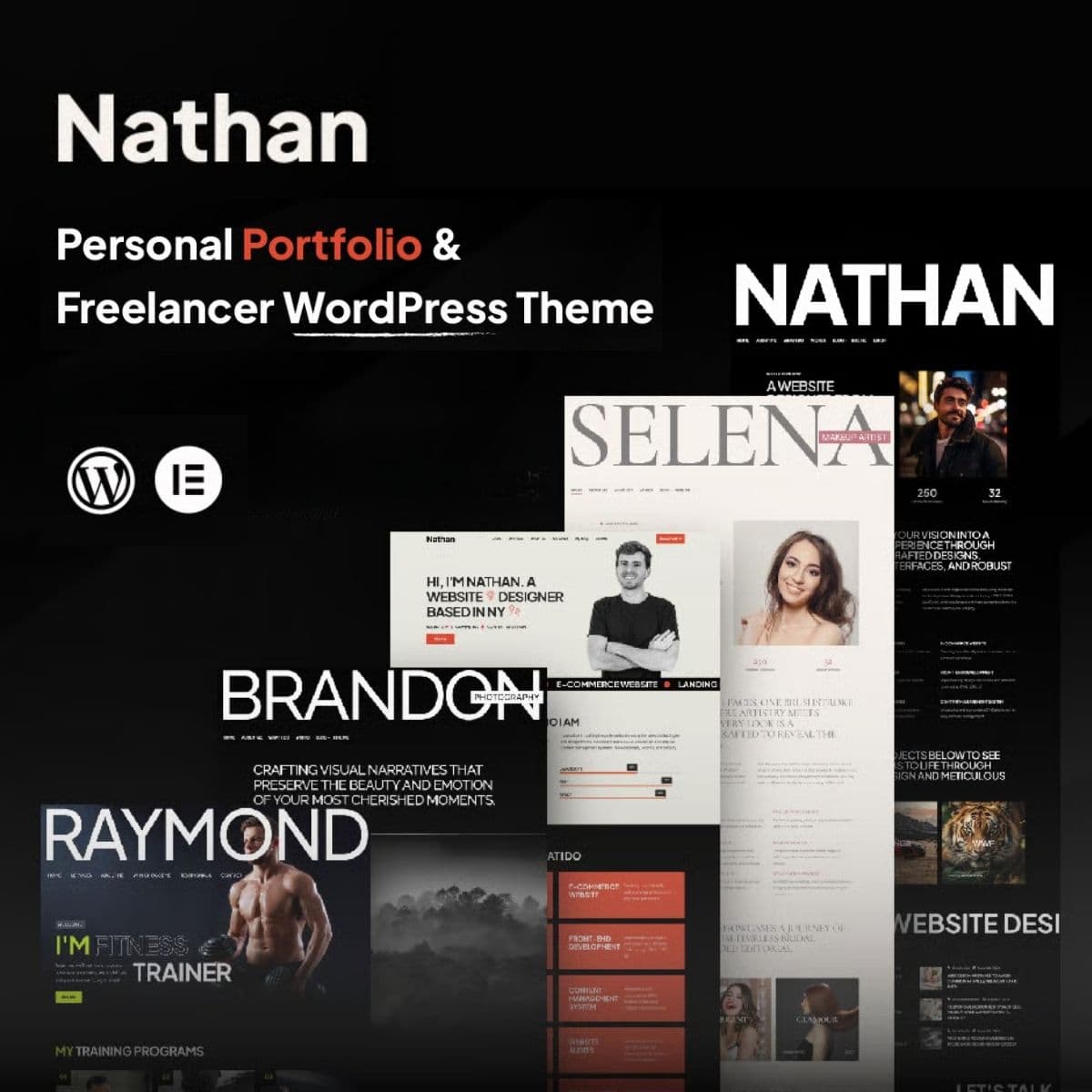 Nathan - Personnel Resume CV Portfolio Thème WordPress