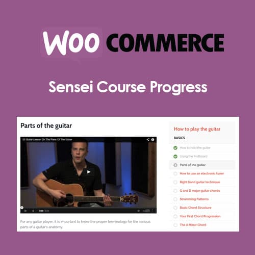 Sensei Course Progression