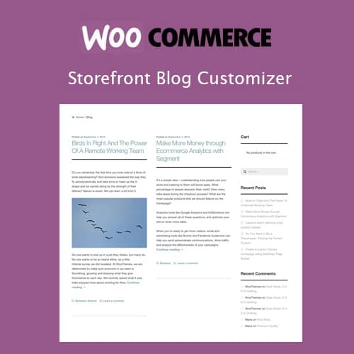 Storefront Blog Customiser Storefront Blog Customiser