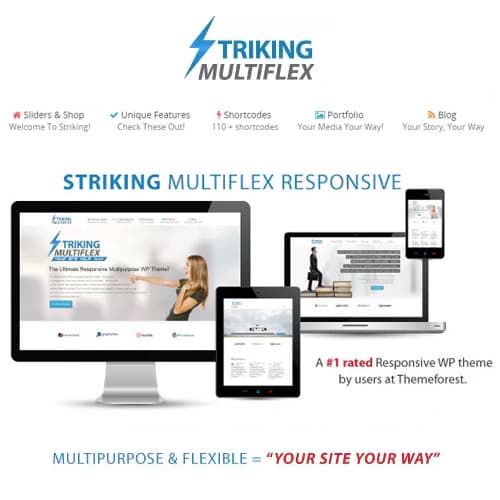Striking MultiFlex & Ecommerce Responsive WP Theme Striking MultiFlex & Ecommerce Responsive WP Theme