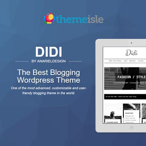 ThemeIsle Didi WordPress Teması