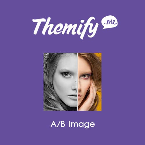 Themify بلڈر AB Image Themify بلڈر AB Image
