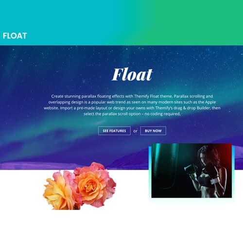 Themify Float Thème WordPress