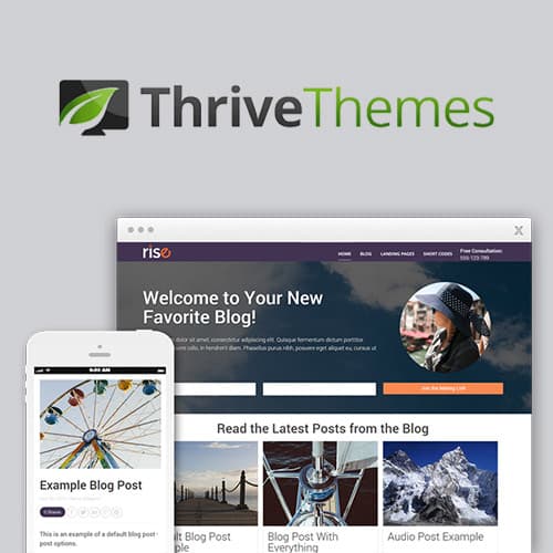 Thrive Themes Rise WordPress主題