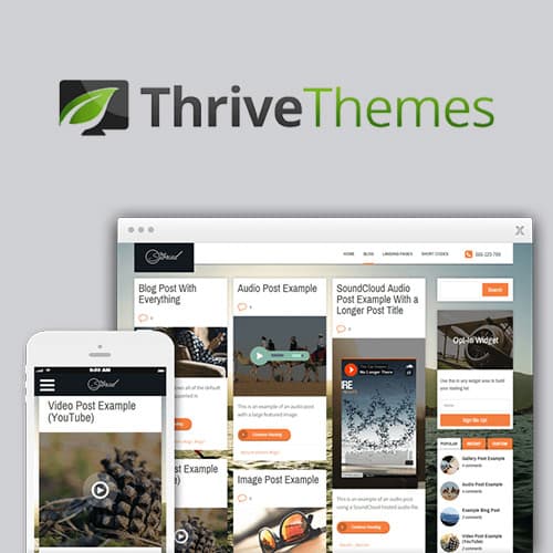 Thrive Themes Storied WordPress主题 Thrive Themes Storied WordPress主题