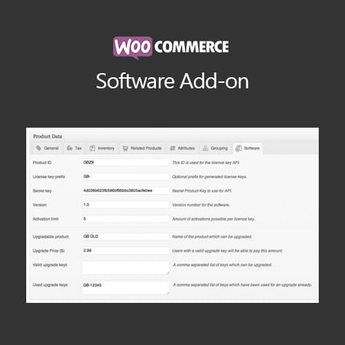 WooCommerce Software Add-on