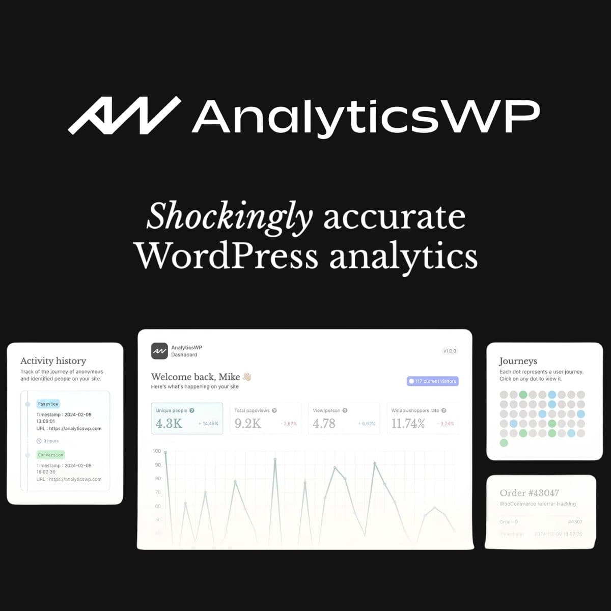AnalyticsWP - WordPress Plugin/Theme Screenshot of AnalyticsWP interface