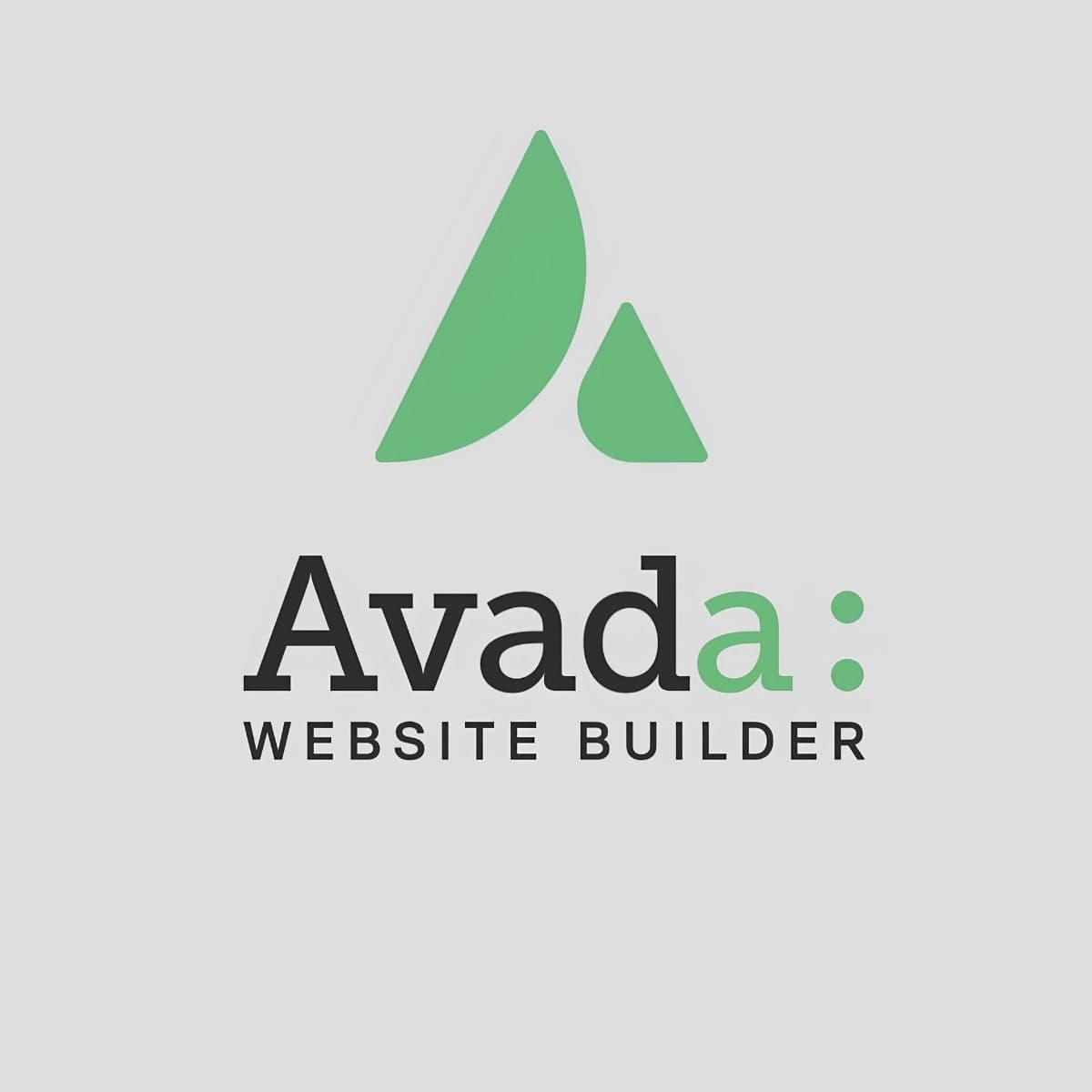 Screenshot of Avada Core interface