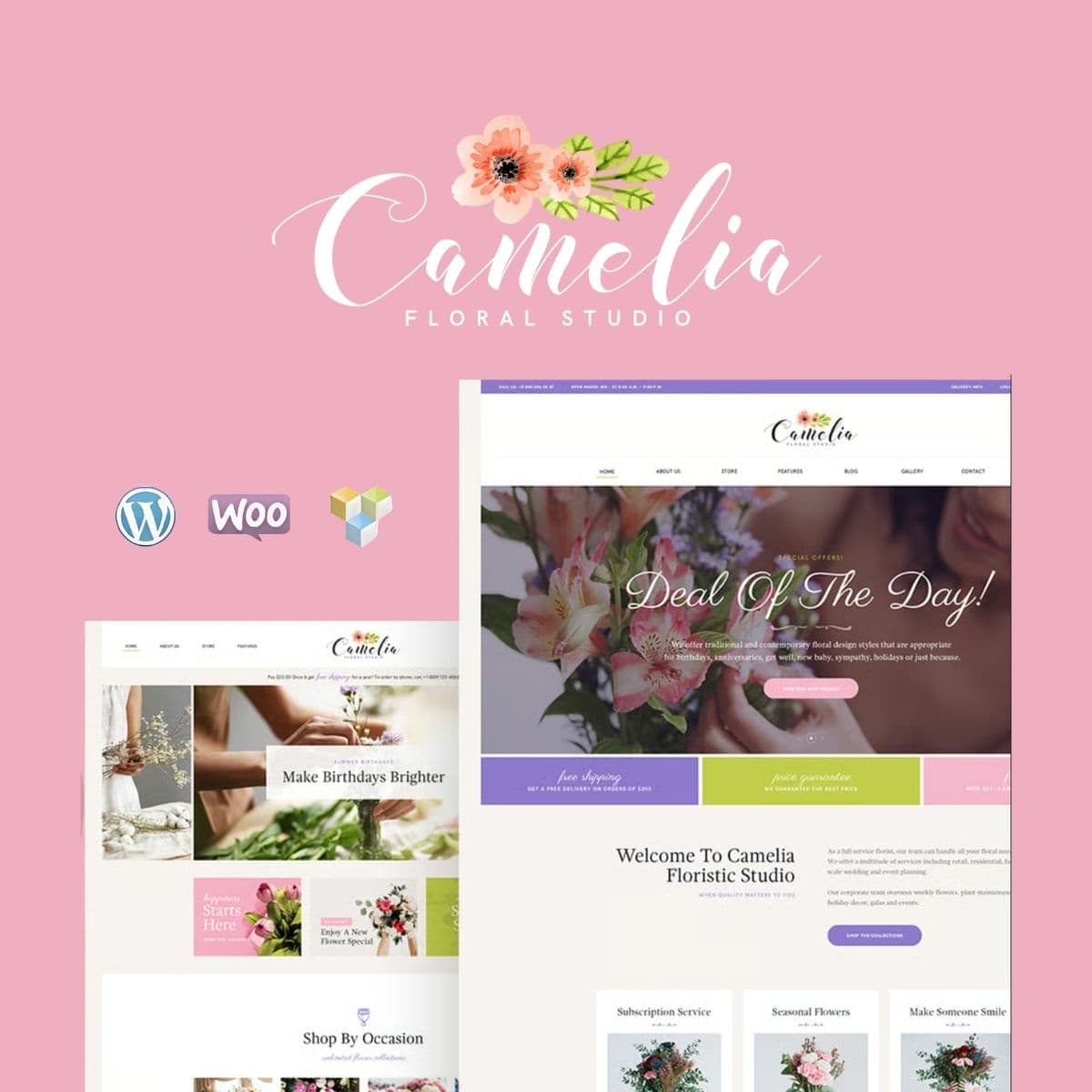 Screenshot of Camelia interface