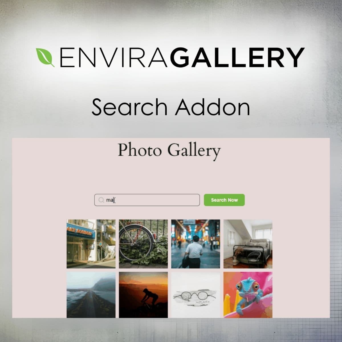 Screenshot of Envira Gallery - Search Addon interface