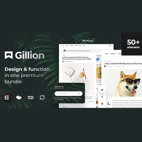 Gillion | Multi-Concept Blog/Журнал & Shop WordPress AMP Theme
