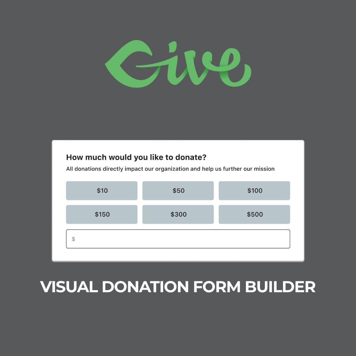 Screenshot of Give - Visual Donation Form Builder interface