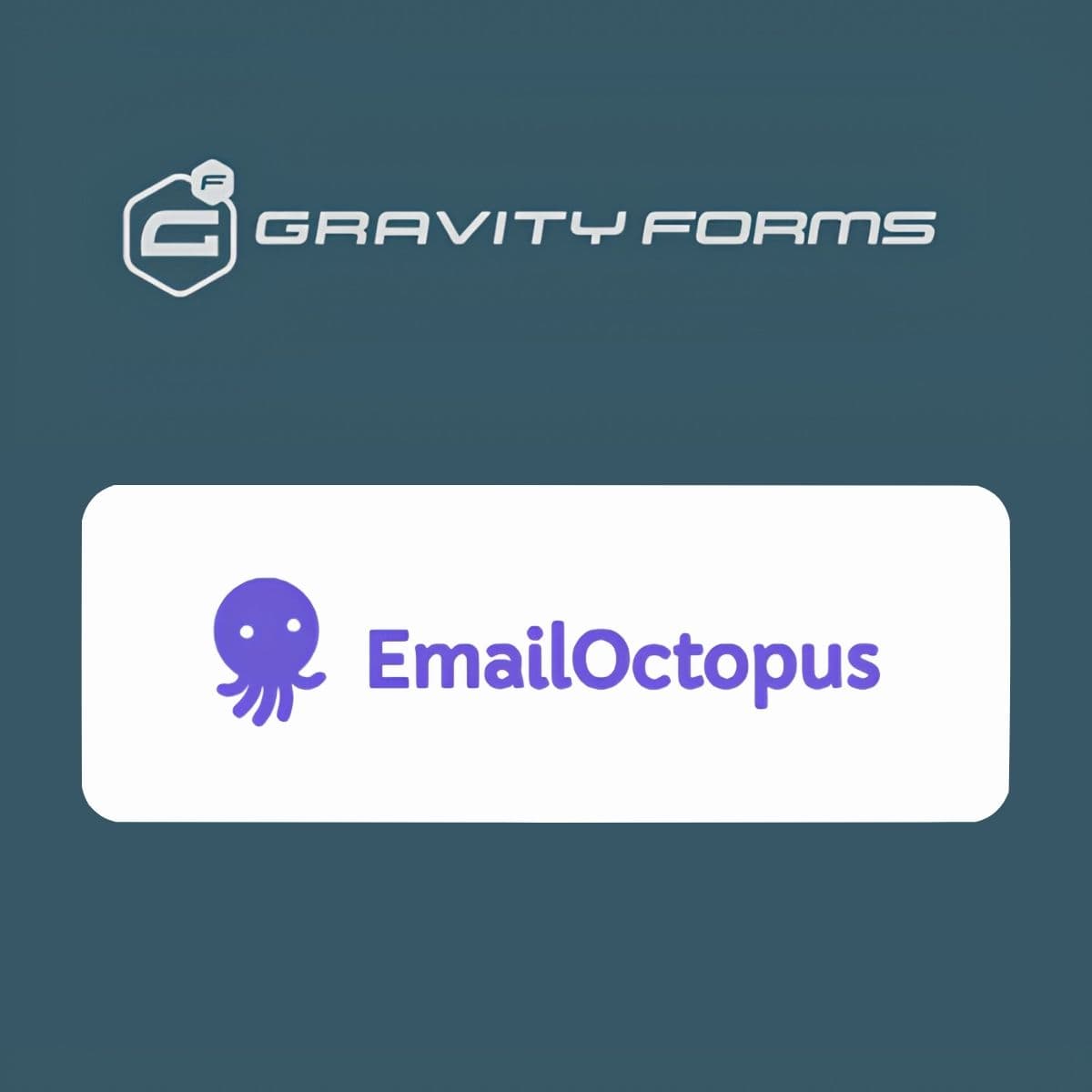 Screenshot of Gravity Forms EmailOctopus Add-On interface