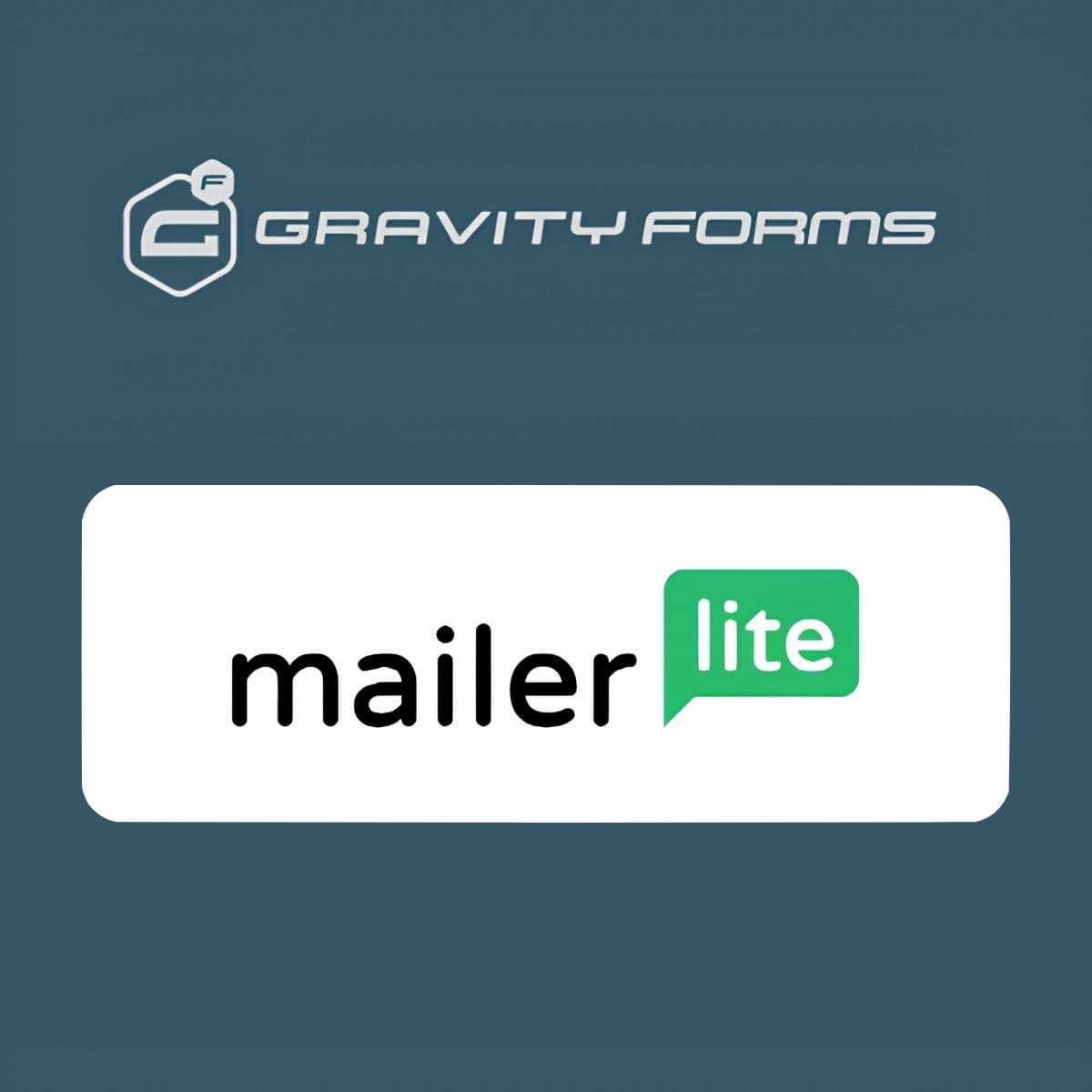 Screenshot of Gravity Forms MailerLite Add-On interface