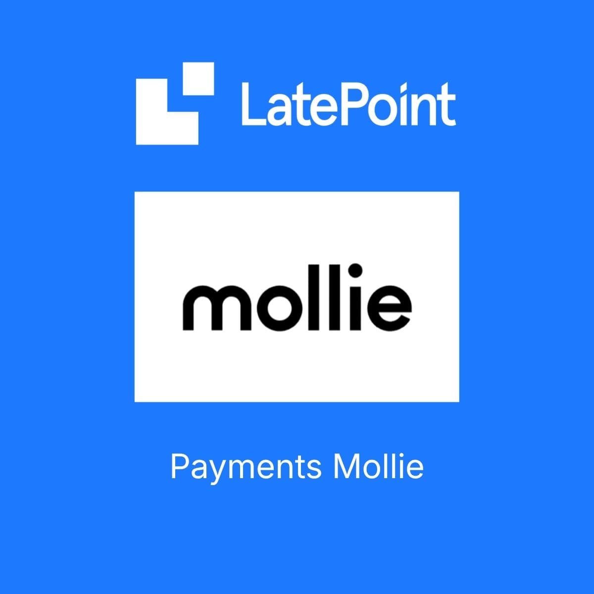Screenshot of LatePoint Payments Mollie interface