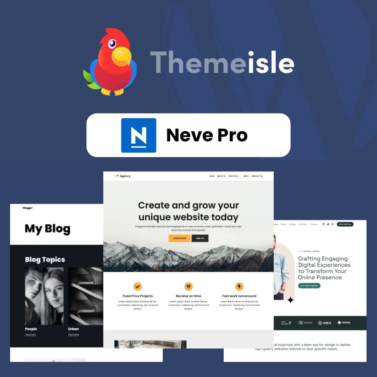 Screenshot of Themeisle Neve Pro interface