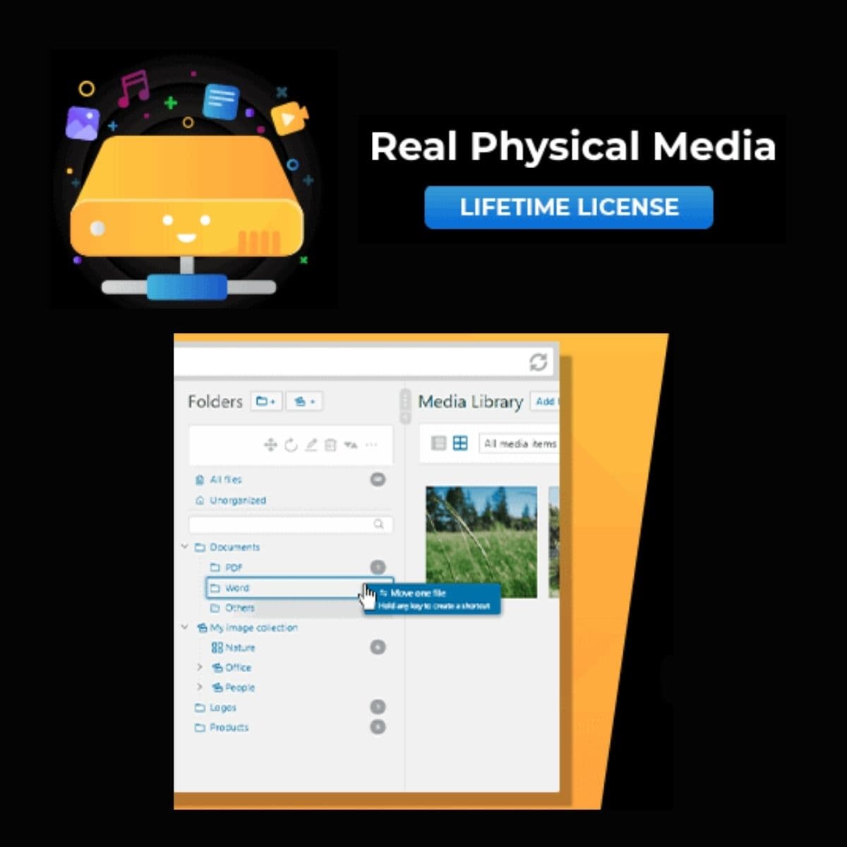 Screenshot of Real Physical Media interface