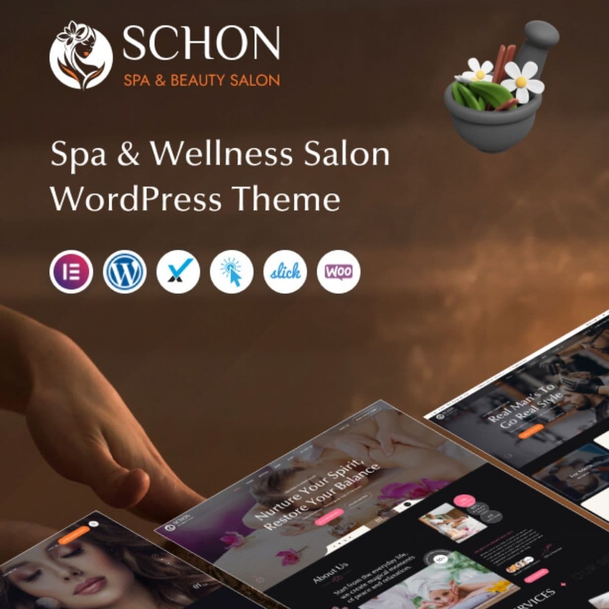 Screenshot of Schon interface