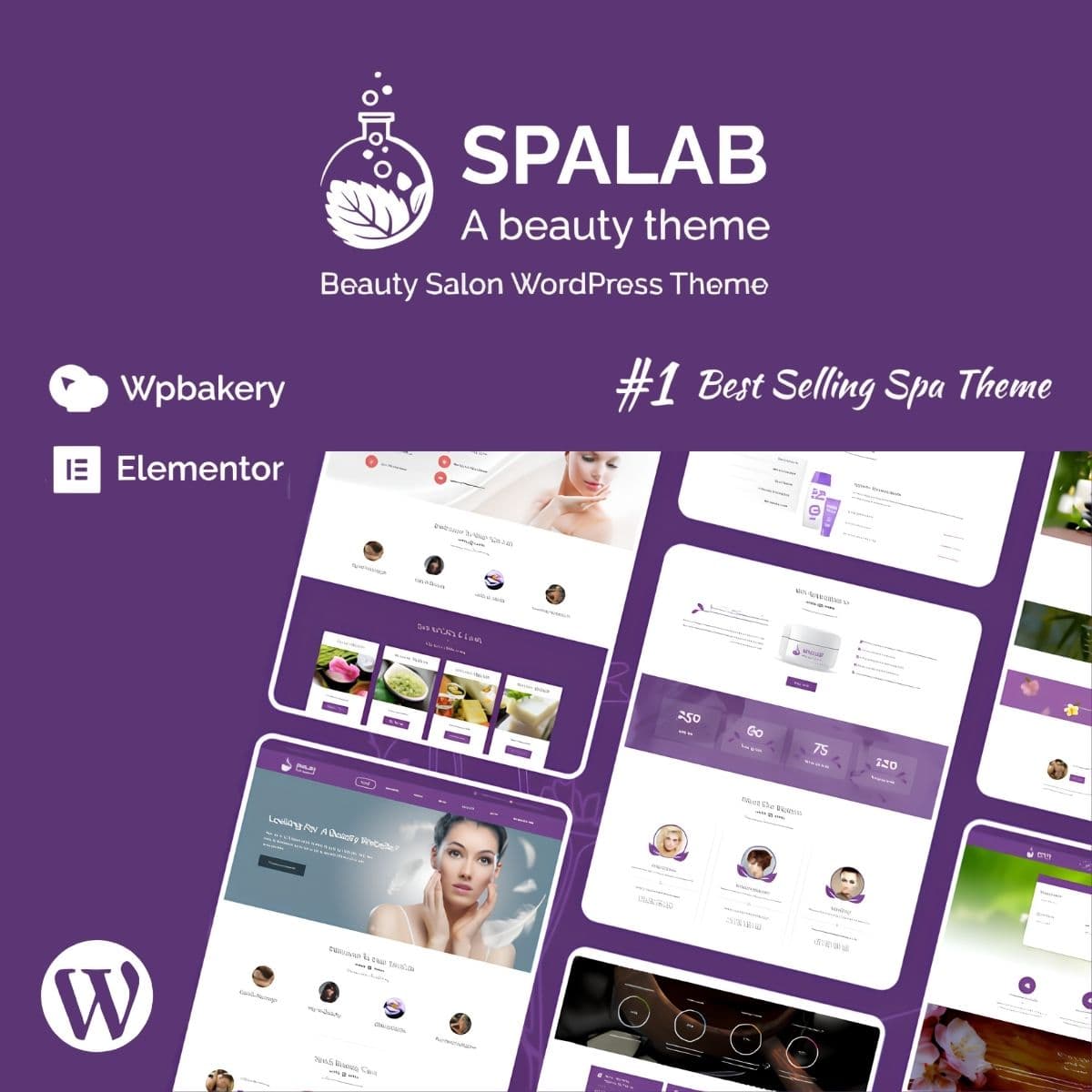 Screenshot of SpaLab interface