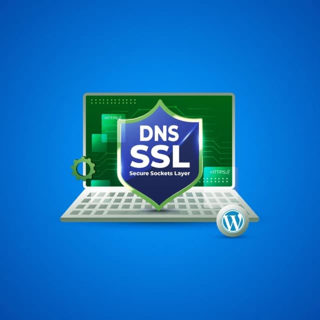 DNS & SSL Setup Package