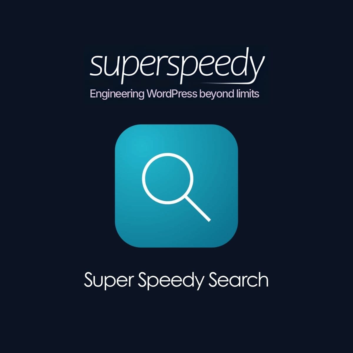 Screenshot of Super Speedy Search interface