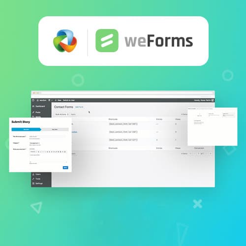 weForms Pro - Бизнес