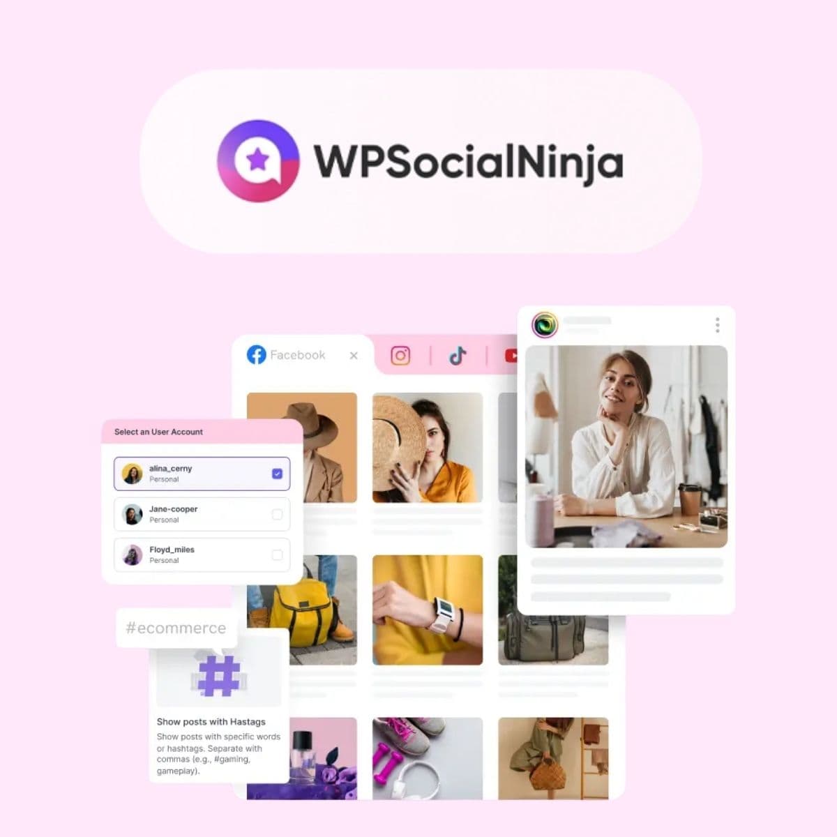 Screenshot of WP Social Ninja Pro interface