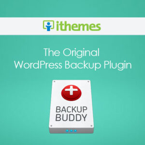 Ithemes Backupbuddy Wordpress Plugin