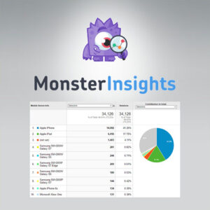 Monsterinsights   Amp Addon