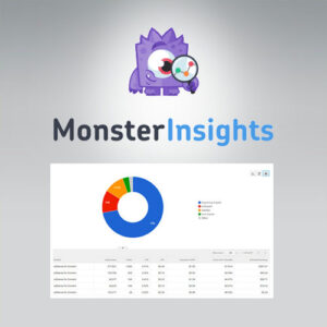 Monsterinsights   Ads Addon