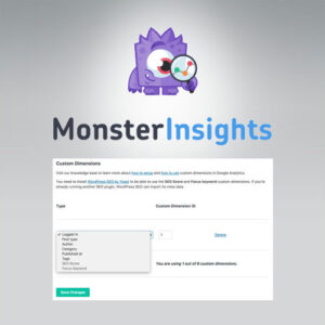 Monsterinsights   Dimensions Addon