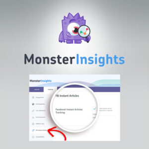 Monsterinsights   Facebook Instant Articles Addon