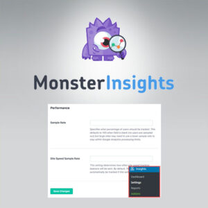 Monsterinsights   Performance Addon
